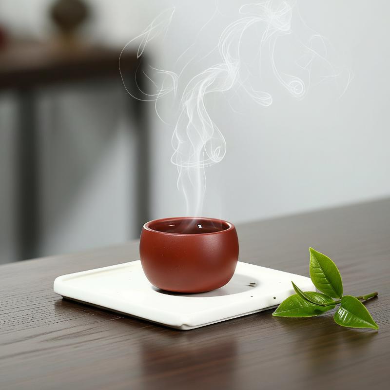 Yixing Purple Clay Travel Tea  - огляд і ціна Office Technician
